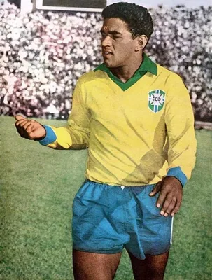 Retrato de Garrincha