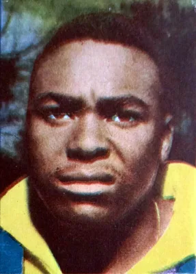 Retrato de Coutinho