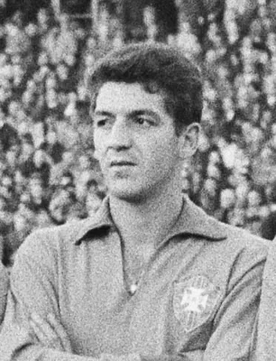 Retrato de Roberto Dias