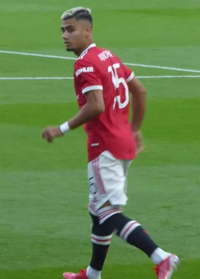 Retrato de Andreas Pereira