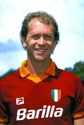 Retrato de Falcão